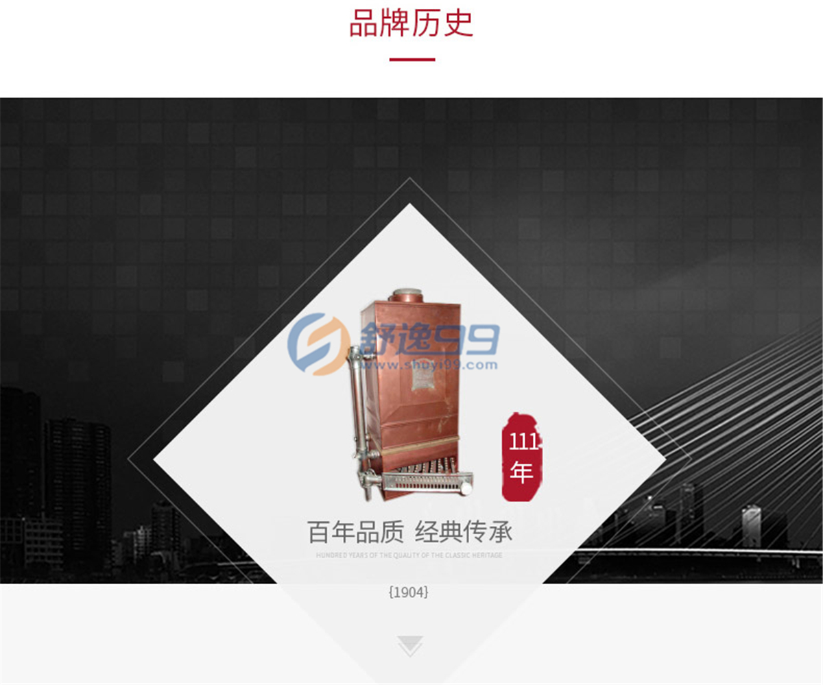 阿里斯頓(ARISTON)舒逸CARES X燃氣供暖熱水洗浴兩用壁掛爐（天然氣）